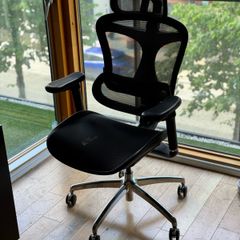 Sihoo Doro C300 Ergonomic Office Chair