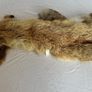 Vintage Red Fox Pelt Full Fur - 100cm - Taxidermy Throw - Excellent Condition Image 5