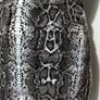Beautiful Topshop Skirt Image 7