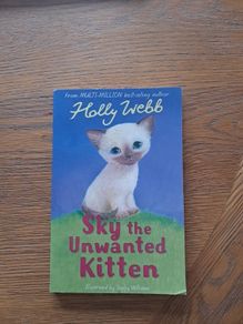 Sky the unwanted kitten