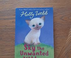 Sky the unwanted kitten