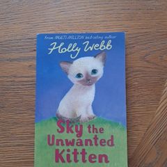 Sky the unwanted kitten