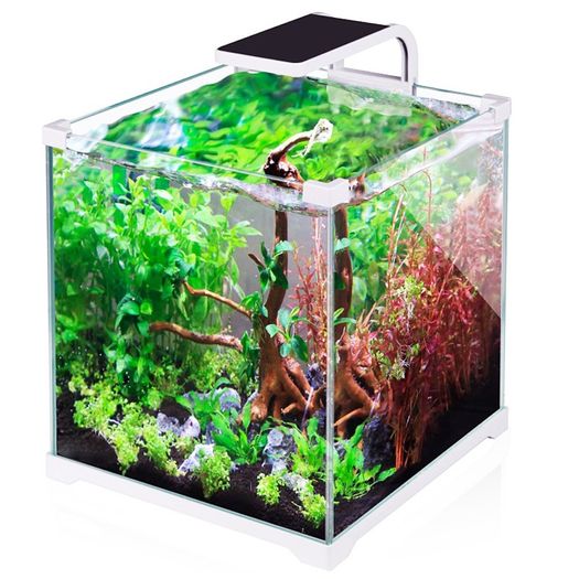 SunSun AD-150 Shrimp LED - 5W shrimp tank lamp