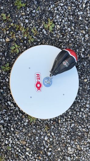 boxing speedball platform