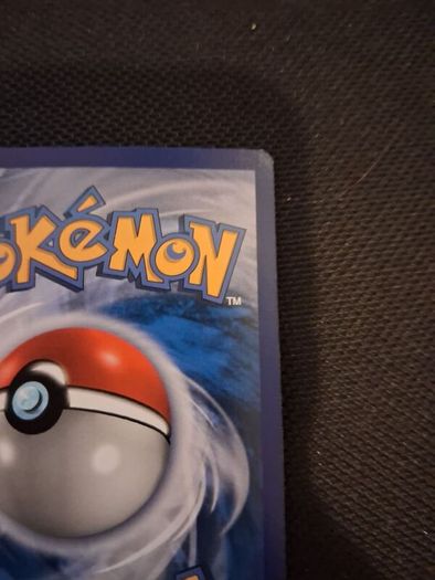 Pokemon Card : Shauna 111a