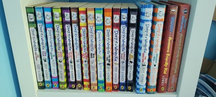 Book Collections: Dogman/ Diary of a Wimpy Kid/ David Walliams Books