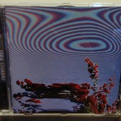 Friendly Fires Inflorescent CD Album