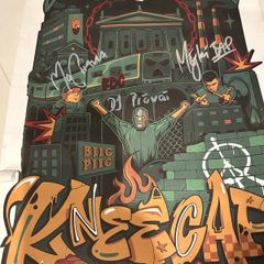 Kneecap poster