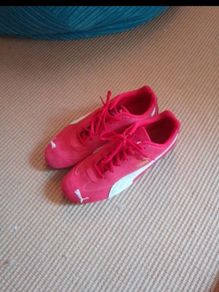 Puma speedcats