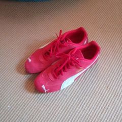 Puma speedcats