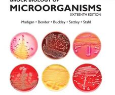 Brock biology of microorganisms 16th edition