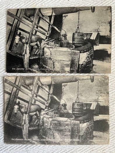 The Isle of Wight x 2, Donkey in the Wheel, Carisbrook Castle, unposted