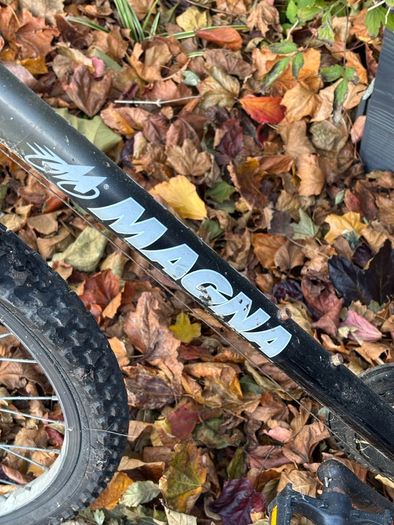Man's bike going for free