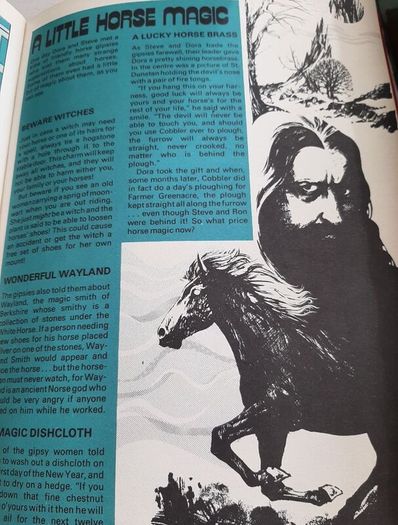 Follyfoot annual vintage1977