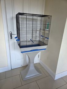 bird setup