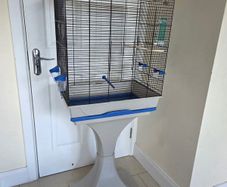 bird setup