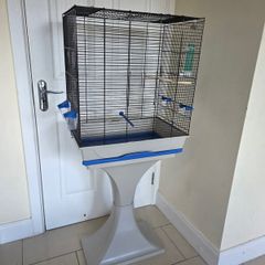 bird setup