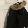 Canada goose Image 2