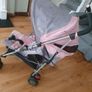 Buggy Image 6