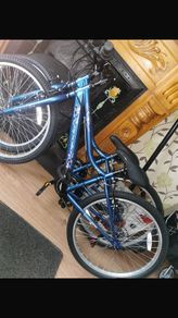 Apollo girls bikes