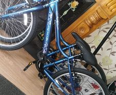 Apollo girls bikes