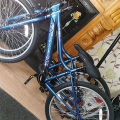 Apollo girls bikes
