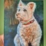 Westi West Highland terrier - original oil painting Image 8