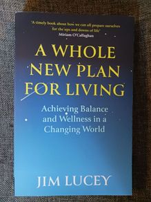 (Professor) Jim Lucey / A Whole New Plan For Living/ 2021