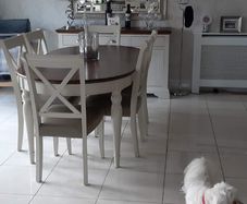 dining table and chairs