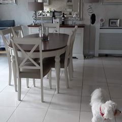 dining table and chairs