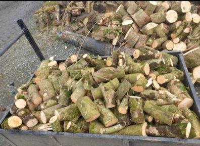 Firewood For Sale