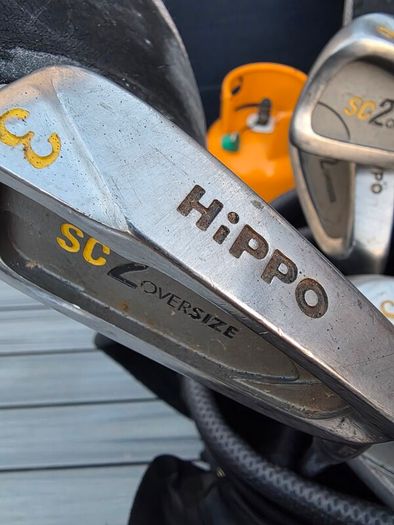 Golf clubs and bags