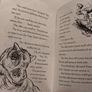 Dinosaur Cove Books Image 8