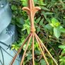 Ornamental plant cloche Image 3