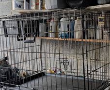 Dog crate folding with tray: Large-Savic