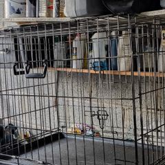 Dog crate folding with tray: Large-Savic