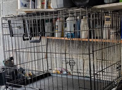 Dog crate folding with tray: Large-Savic