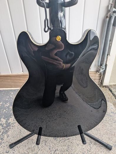 Harley Benton HB35 Plus