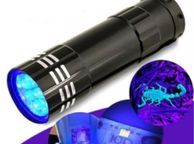 main image for ad UV LED Flash Light Wavelength