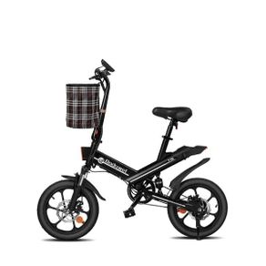 BODYWEL T16 Foldable Mini Electric Bike
