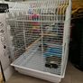 Bird cage Image 2