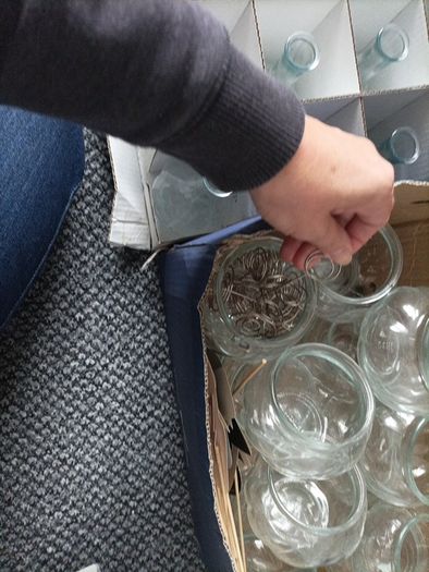 vases