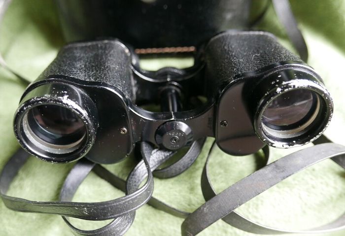 Vintage Japan Binoculars Ronoco 8 x 30