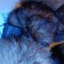 Real fur pompom stole 100cm with label Image 2