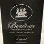 Boadicea The Victorious Imperial Image 2