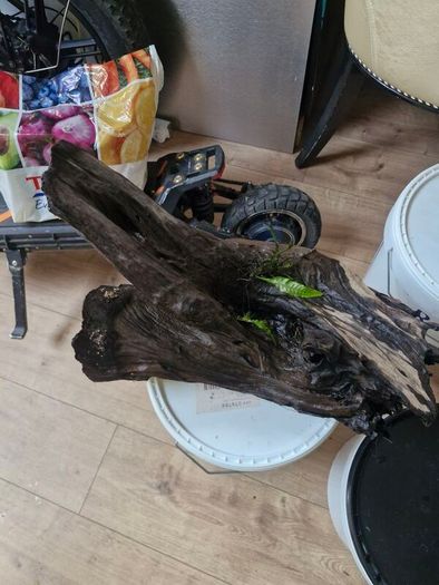 fish tank wood