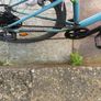 bike Image 4
