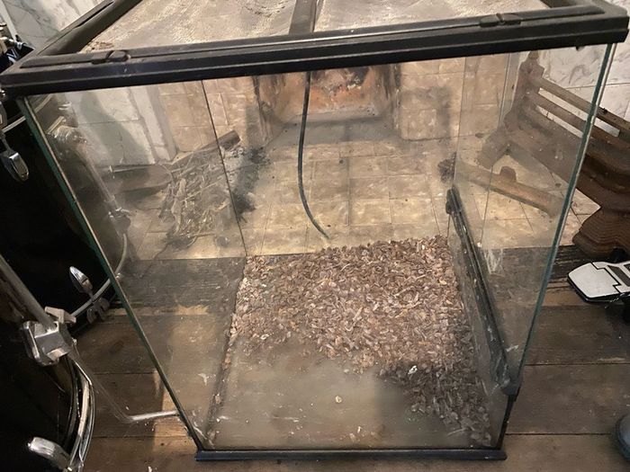 large glass reptile tank