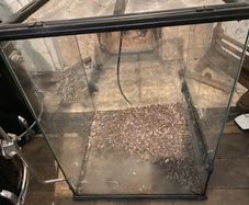 large glass reptile tank