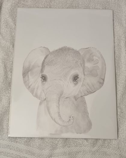 Mamas & Papas Picture - Elephant